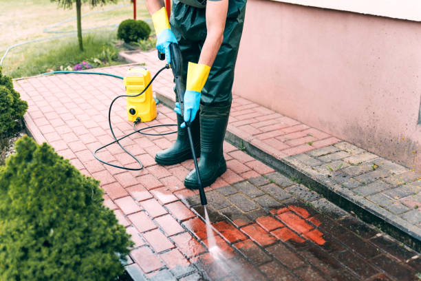 Best Gutter Cleaning  in Wiggins, MS