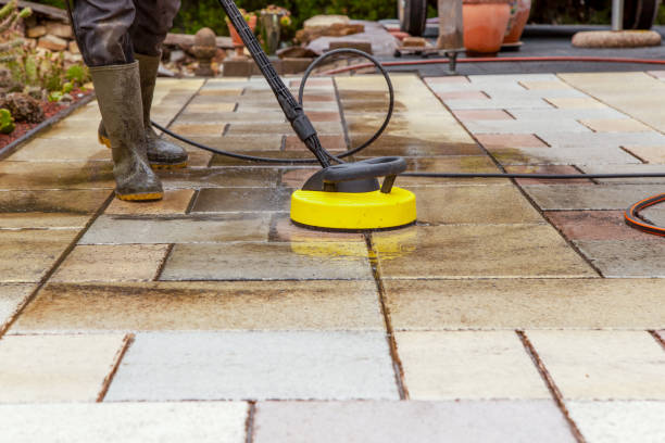 Best Driveway Pressure Washing  in Wiggins, MS